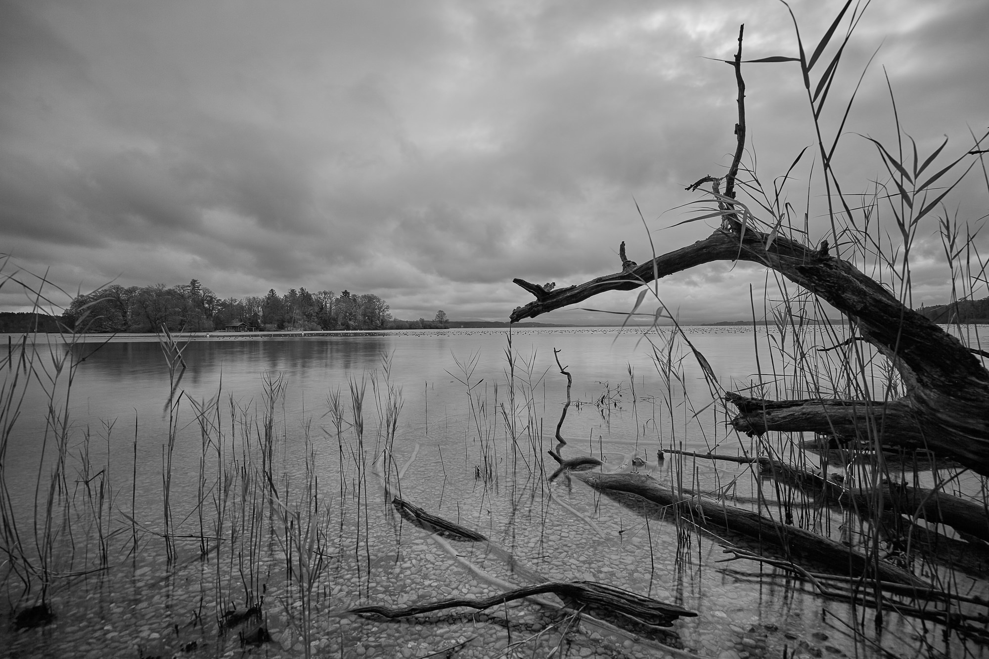 Starnberger See mit Roseninsel